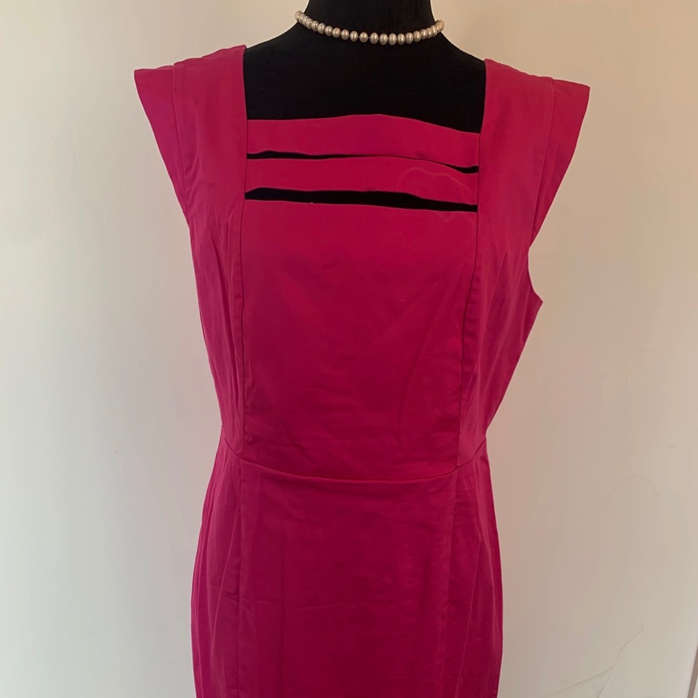 Metaphor missy Raspberry Rose Dress